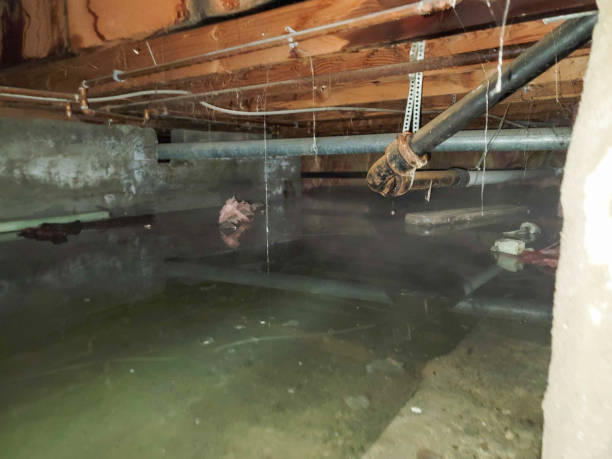 Best Emergency water damage restoration  in Greenville, MS