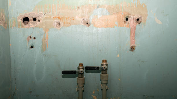 Best Basement water damage restoration  in Greenville, MS
