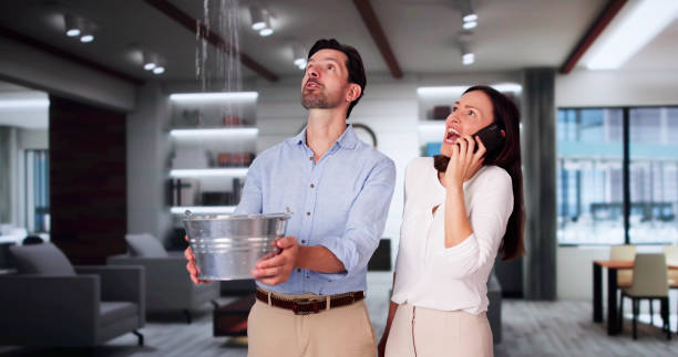 Best Flood restoration services  in Greenville, MS